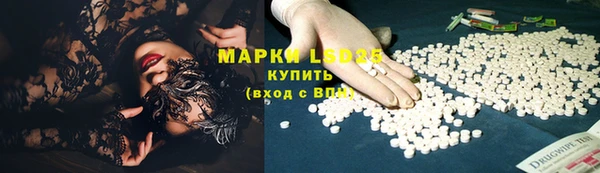 a pvp Алзамай