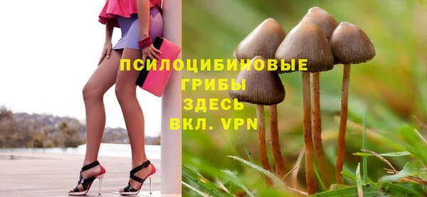 синтетический гашиш Алексеевка