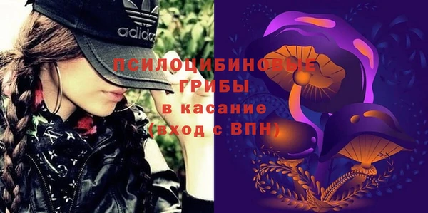 a pvp Алзамай