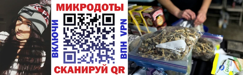 Псилоцибиновые грибы GOLDEN TEACHER  купить закладку  Югорск 