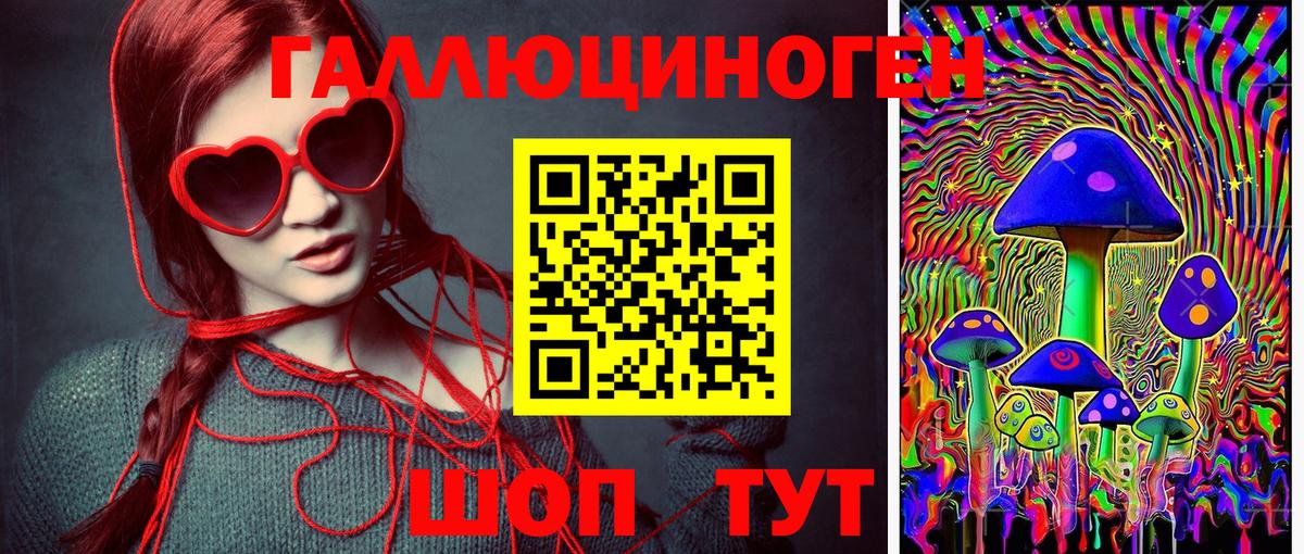 Югорск  Псилоцибиновые грибы Cubensis  Вход с VPN 